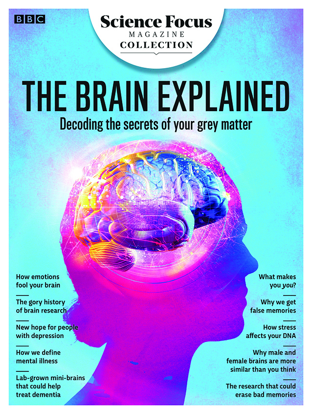 brain health research articles